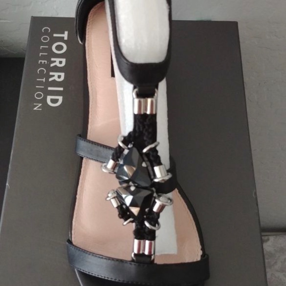 COPY - New in box, size 11 (Torrid)